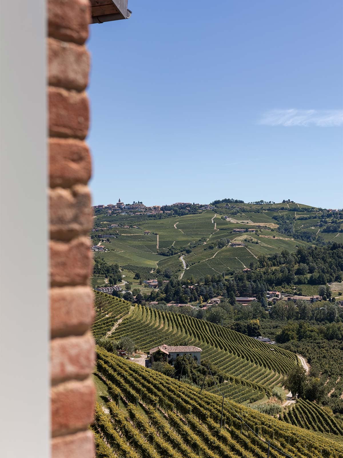 Vista vigneti e colline